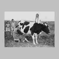 027-0072 Frau Anna Selke beim Melke, neben der Kuh Margarete  Selke.JPG